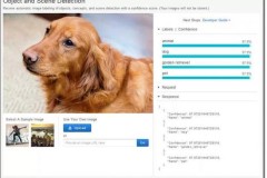 Trí tuệ nhân tạo nhận dạng được cả từng giống chó