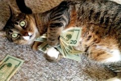 Choáng: Game thủ chi gần 1 tỷ đô chỉ trong vài ngày nghỉ