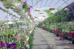 Mời xem bộ ảnh l&#224;ng hoa Sa Đ&#233;c chụp bởi Nokia 808 PureView