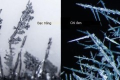 Phản ứng hoá học tuyệt đẹp giữa Đồng và Muối Bạc dưới kính hiển vi điện tử