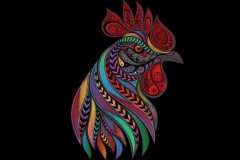 Con gà đã thay đổi thế giới, tại sao chúng ta lại đối xử "tàn nhẫn" với nó như thế