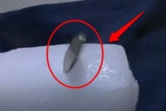 Giải mã hiện tượng “đồng xu có ma” run bần bật trên khối băng dù chẳng hề có gió