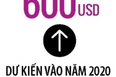 Millennial: Lực lượng bán hàng trực tiếp thời mạng xã hội