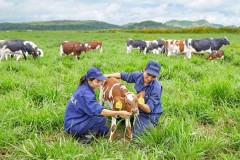 Thực phẩm hữu cơ: Nhà sản xuất, bán lẻ cùng vào cuộc