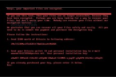 Cách để bảo vệ máy tính của bạn khỏi Ransomware nguy hiểm Petya