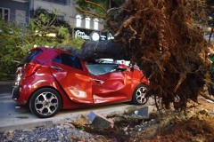 Cây xanh bật gốc, đè bẹp dúm ô tô giữa trung tâm TP. Hồ Chí Minh