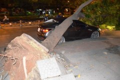 Cây xanh bật gốc đè bẹp "xế hộp" khi trời không mưa, gió nhẹ