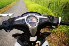 Exciter 135 sắc tím trải dài trên cánh đồng lúa xanh miết