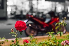 Exciter 135cc phá cách với phiên bản nâng cấp hoàn toàn mới