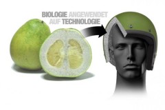 Đồ bảo hộ cho "phượt thủ" được làm từ bưởi và vảy cá?