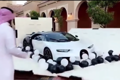 [VIDEO] Chiêm ngưỡng món quà sinh nhật Bugatti Chiron Panda tuyệt đẹp