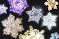 70% cơ thể chúng ta là nước: Những lời nói yêu thương hay thù ghét tác động rõ nét lên thân thể chúng ta như thế nào?