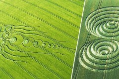 Những vòng tròn trên cánh đồng đến từ người ngoài hành tinh?