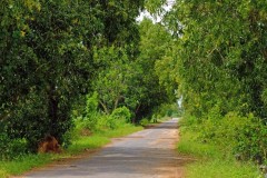 CUNG ĐƯỜNG SÀI GÒN - PHAN THIẾT ĐƯỜNG RỪNG VÀ ĐÈO 250KM