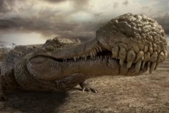 Hóa thạch cá sấu khổng lồ 95 triệu năm vừa được phát hiện