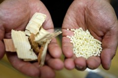 Nhật Bản nghiên cứu làm linh kiện ôtô từ gỗ