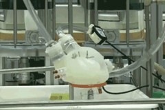 Trái tim nhân tạo dạng mềm đầu tiên trên thế giới phát triển thành công