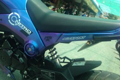 Honda MSX độ lùn đầy cứng cáp với khoác phong cách chuyển màu cá tính