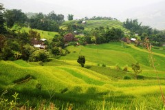 Tây Bắc: Ruộng bậc thang – bốn mùa cung bậc đắm say lòng người