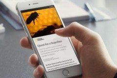 Phiên bản iOS 11: Safari sẽ loại bỏ link AMP của Google thành link gốc khi chia sẻ