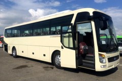 Sau xe con, xe thương mại Hyundai cũng về tay Thành Công