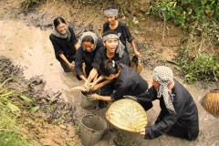 Với 500k về Cù Lao Thới Sơn trải nghiệm ' tát mương bắt cá ' đầy thú vị