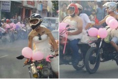 Đoàn rước dâu ' chuẩn men 100% ' mặc váy cưới náo loạn tỉnh Bình Thuận