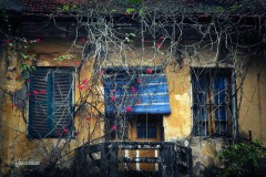 Heo may rồi ư, em ở đâu khi Hà Nội đón những cơn gió se lạnh đầu tiên tới?