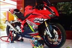 Honda CBR 250RR Cá mập cuồng nộ ấn tượng cùng bầy đàn
