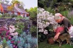 Rời phố về quê với hương đồng gió nội, đàn gà luống rau: Người họa sĩ đã tìm được hạnh phúc thực sự ra sao?