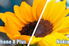 [So sánh] Nokia 8 vs. iPhone 8 Plus: Hiệu ứng làm mờ phông nền ảnh chụp