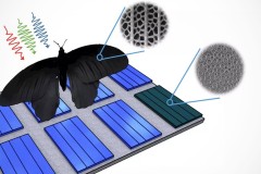 Tấm pin mặt trời lấy cảm hứng từ cánh bướm giúp tăng hiệu suất thu ánh sáng gấp 2 lần