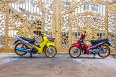 Futute Neo độ - bắt mắt khoe dán cùng Sirius huyền thoại