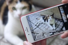 Trải nghiệm nhanh bộ lọc màu mới trên iOS11: màu mới, rất đã!