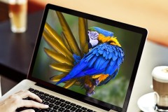 [PC/Smartphone] Chia sẻ bộ ảnh nền chất lượng cao của Microsoft về Bing và Windows Spotlight