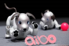 Chó robot “Aibo” phiên bản 2017 của Sony chính thức ra mắt sau 10 năm
