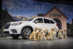 Trình làng SUV 8 chỗ Subaru Ascent 2019 hoàn toàn mới