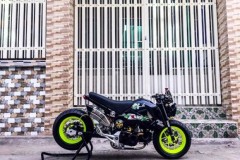 Honda MSX độ lùn dùng để chở heo của Biker Mỹ Tho