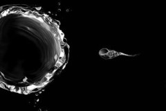 Sử dụng tinh trùng để đưa thuốc trị ung thư cổ tử cung