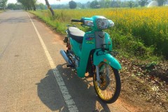 Honda Cub Fi độ kiểng khoe sắc bên đường