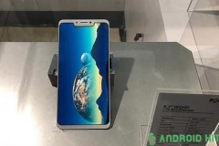Hình ảnh thực tế được cho là của Huawei P20 Plus, có tai thỏ như iPhone X