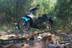 Exciter 135 độ khoe dáng trong rừng bí ẩn