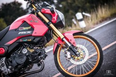 MSX 125 độ - chú báo hồng đáng yêu với option đồ chơi giá trị