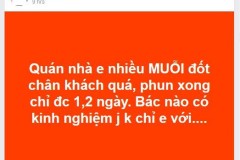 Mùa nồm đến, chủ quán net tá hoả tìm cách chống muỗi cho game thủ