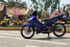 Exciter 135 độ khoe dáng bên vườn bông chiều nắng