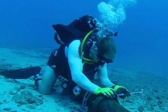 Cáp quang biển APG gặp sự cố và thời gian sửa chữa khoảng 2-3 tuần