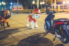 Honda Dylan lãnh chúa tay ga một thời được hồi sinh