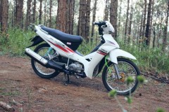 Sirius 110 độ khoe dáng bên con dốc rừng thông