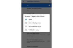 Người dùng sẽ có hai tùy chọn tai thỏ trên Android P