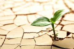 Bạn đang bị mất tiền? 4 mẹo sau sẽ giúp bạn tồn tại trong “thị trường gấu”